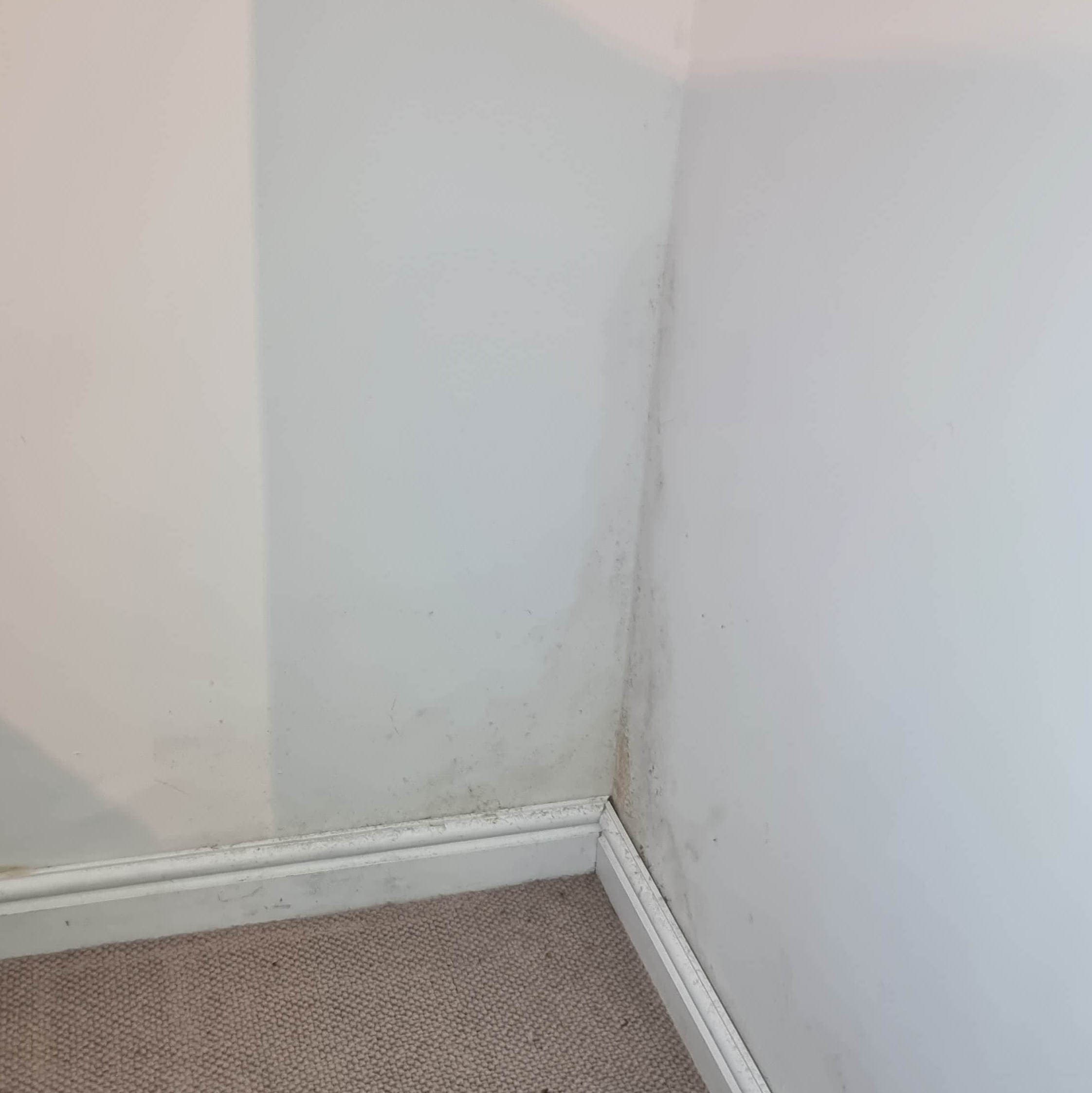 Bedroom wall corner with mould, before treatment