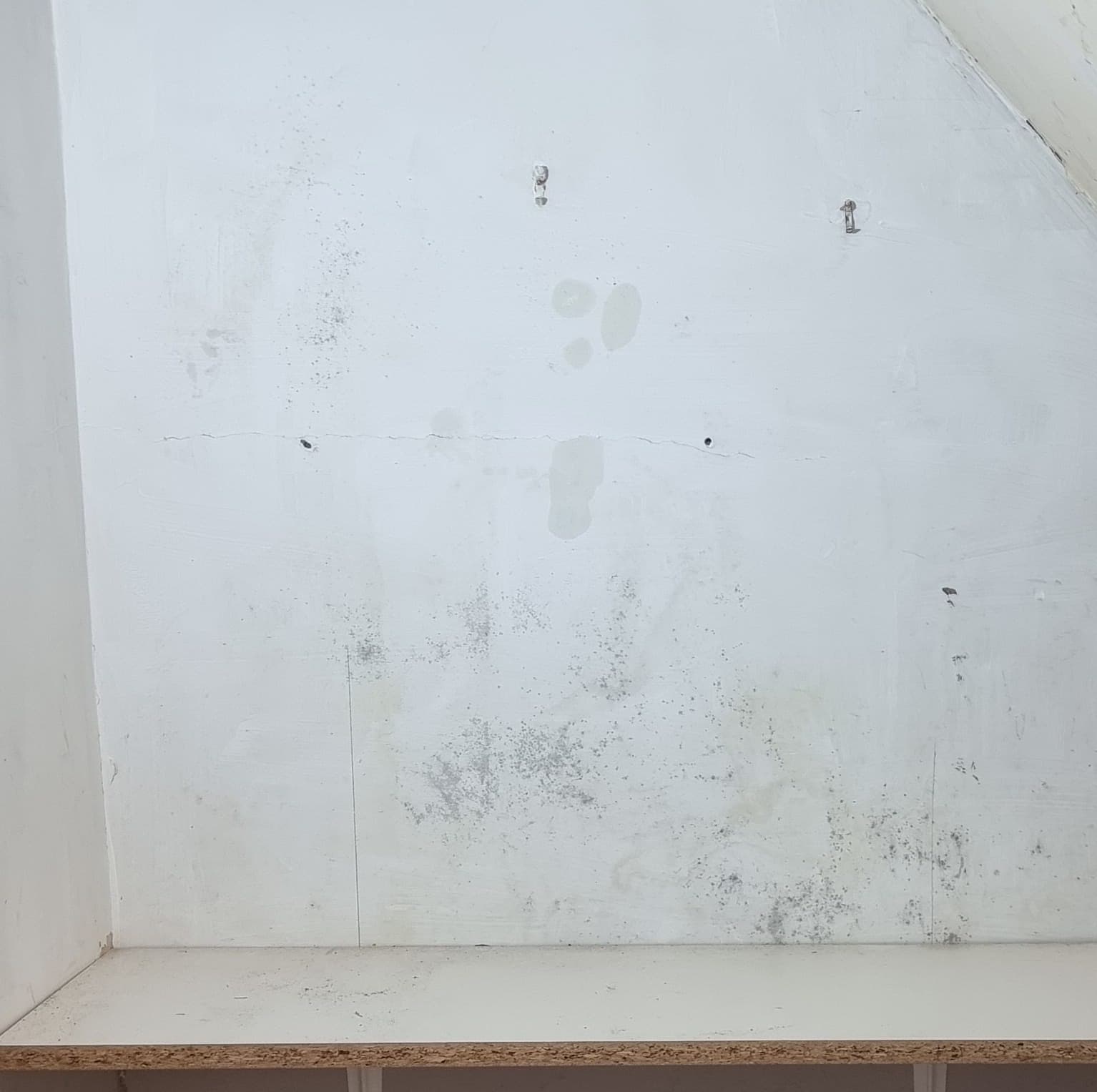 Cupboard under the stairs with mould on the wall, before treatment