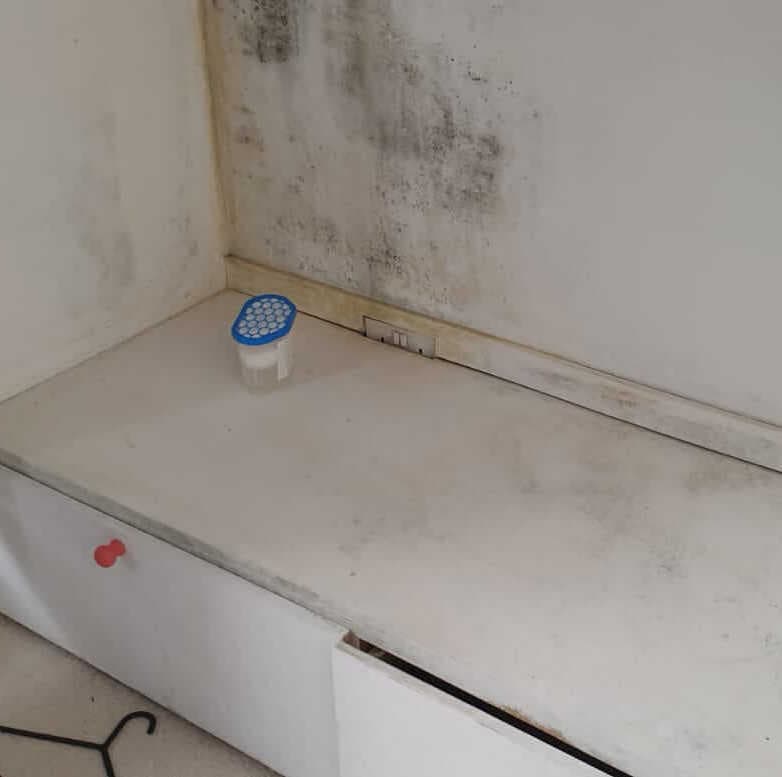 Fitted wardrobe covered in black mould, before treatment