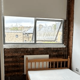 Brick feature wall in a second room with mould, before treatment