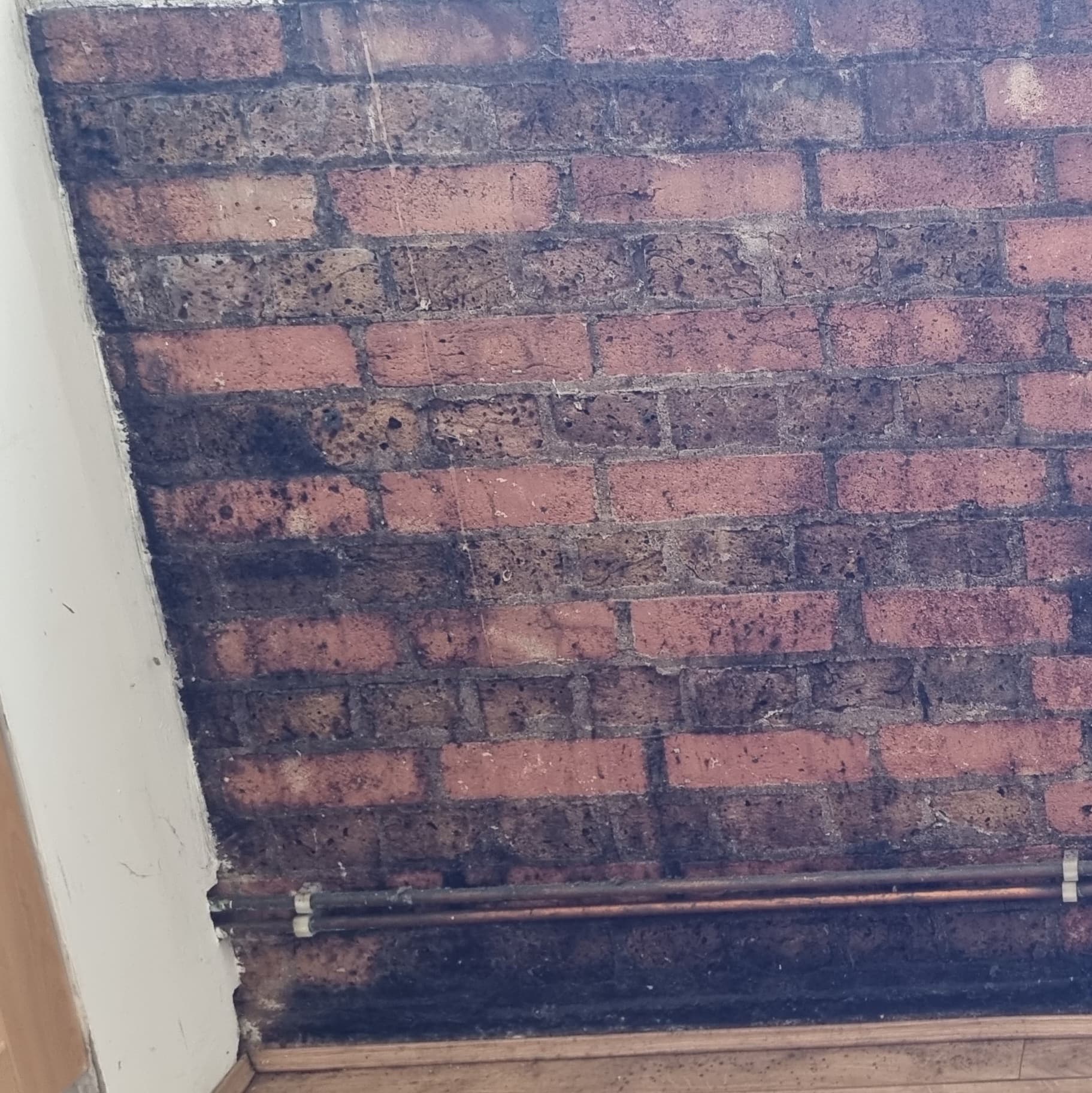 Internal brick feature wall with mould, before treatment
